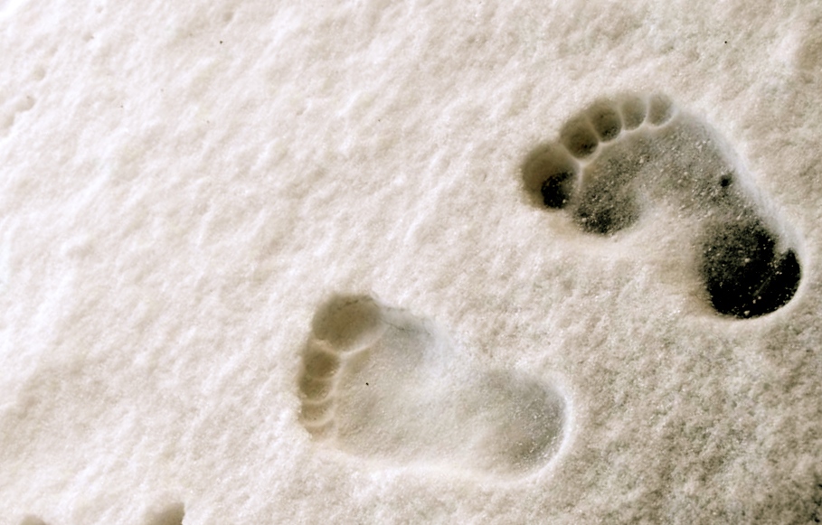 footsteps-and-hand-marks-on-the-snow-1157383 - Theater Waltzwerk